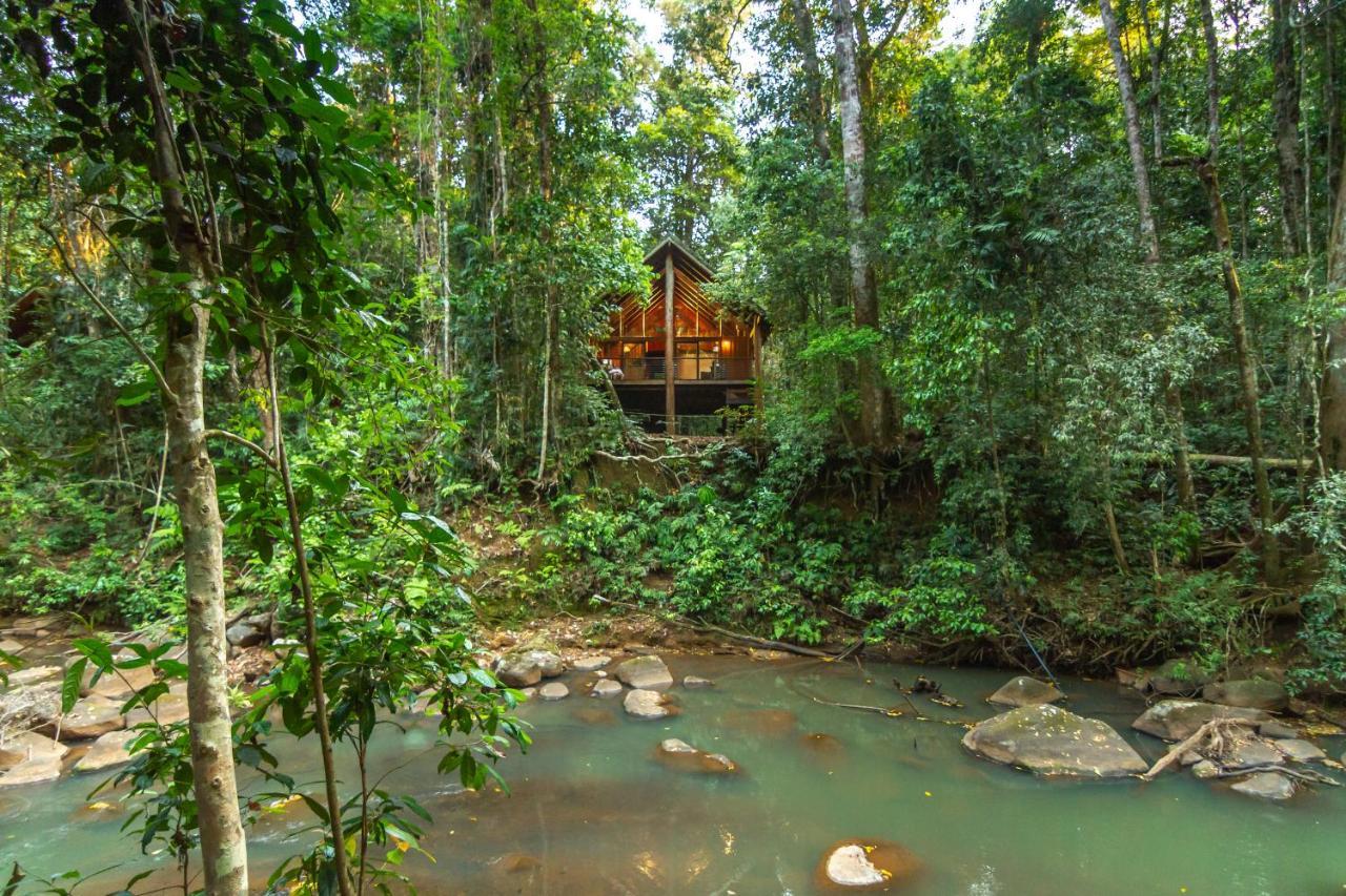 The Canopy Rainforest Treehouses & Wildlife Sanctuary Tarzali Екстер'єр фото